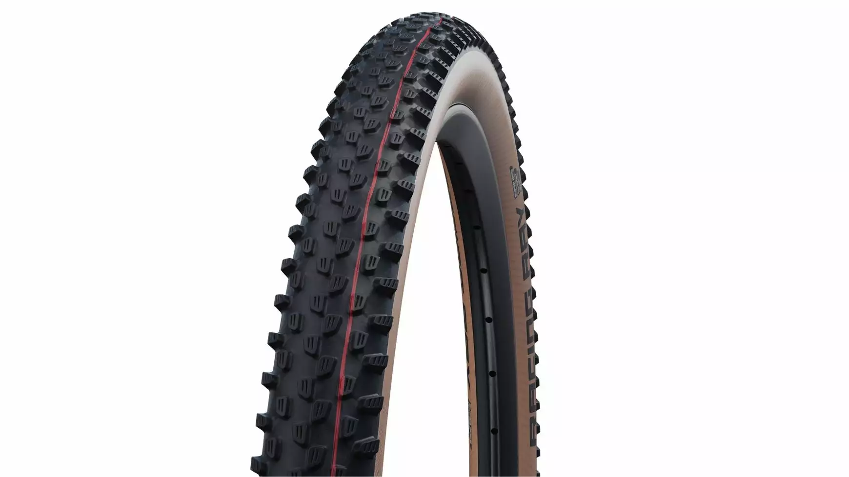 Schwalbe Racing Ray Evo SR 29 1 Schwalbe Racing Ray Evo SR 29